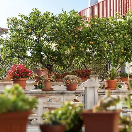 Apartment Serena Sul Mare